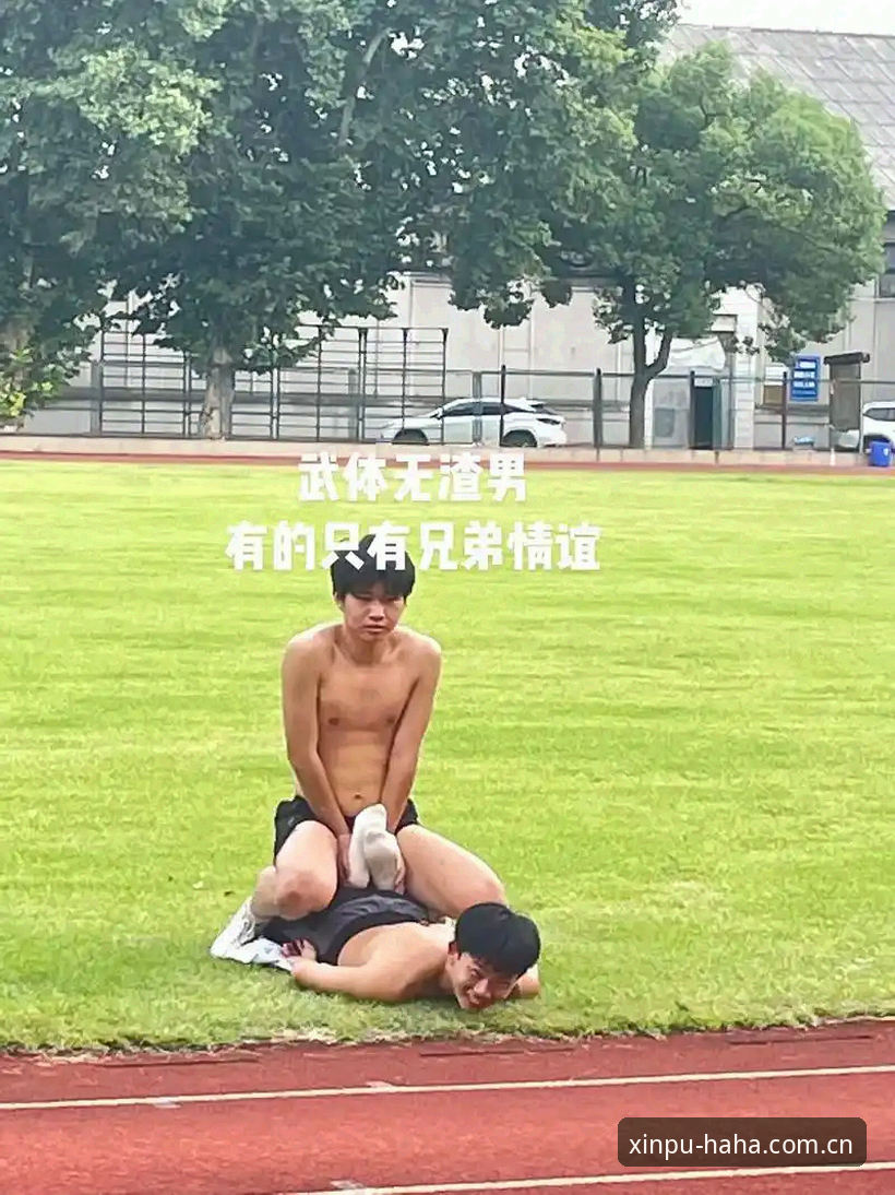 哈哈体育平台深度剖析：正规体育娱乐的全新探索路径